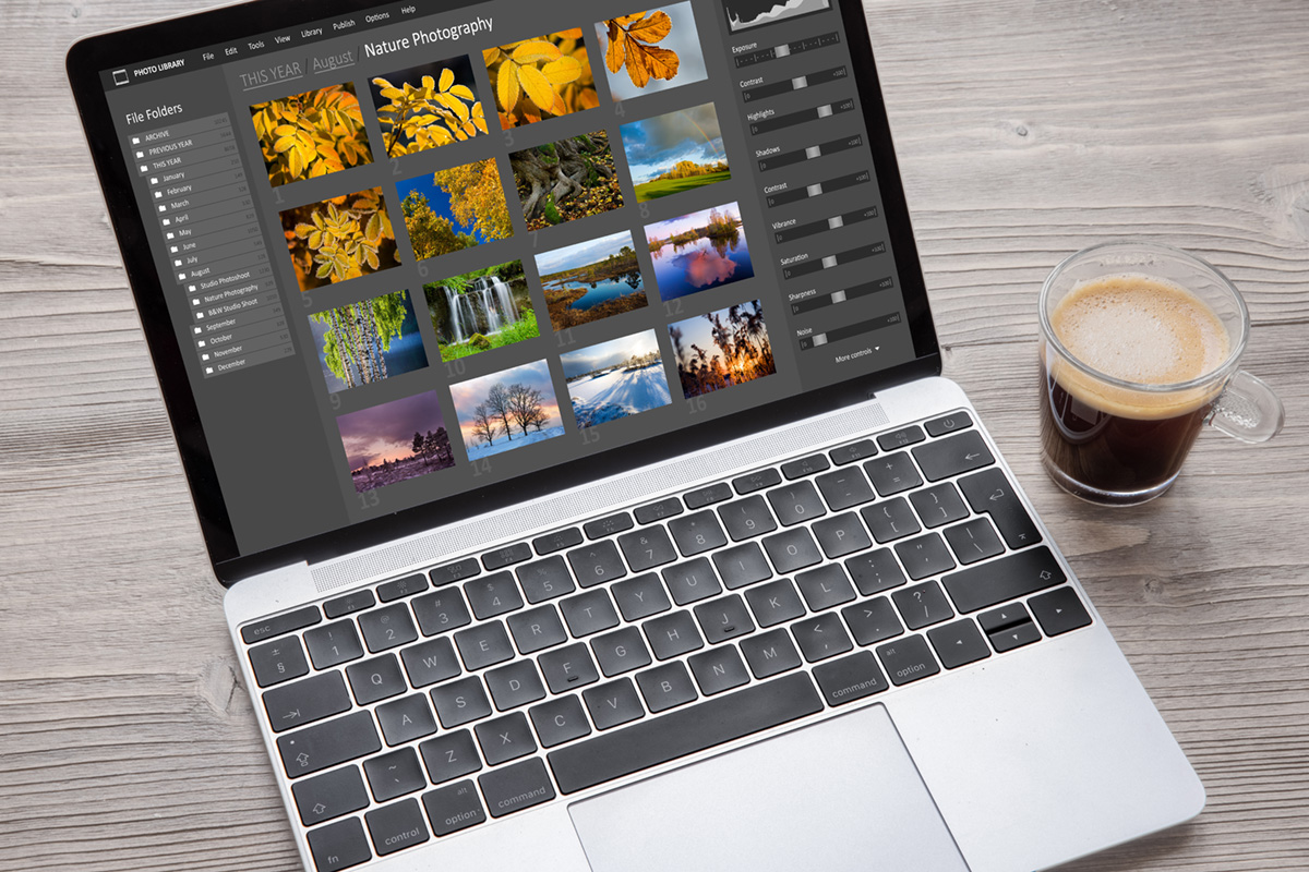 Digital photo files library on laptop computer